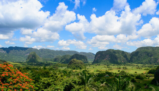 Antler, Mogote Landscape in Vi&ntilde;ales, Pinar del Rio, Cuba