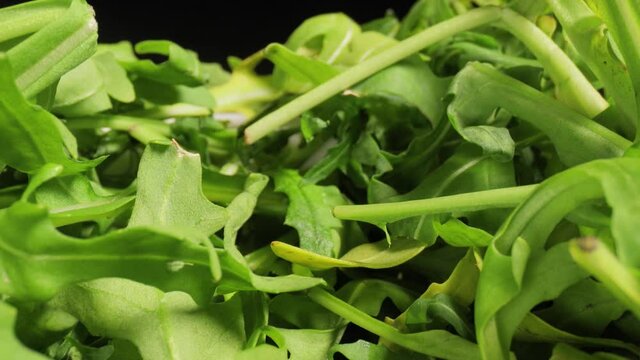 Fresh green salad macro with probe lens