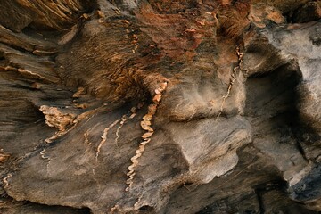 veins in sedimentary rock