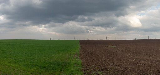 panorama landscape half green plowed field, against the backdrop of a cloudy sky