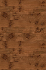 brown oak tree timber wood surface texture background wallpaper