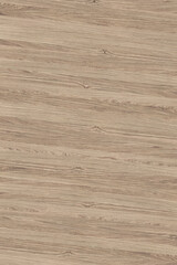 Obraz premium brown oak tree timber wood surface texture background wallpaper