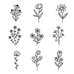 Flowers. Set of sketches of different summer flowers. Hand drawn botanical illustration. Outline drawing. Line vector illustration.  Isolated on white background. Good for posters, t shirts, postcards