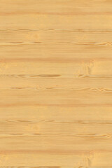 brown pine tree wood structure texture background pattern