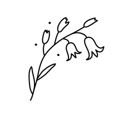 Bell flower in line style on white background. Vector illustration of a wild flower in doodle style. Perfect as a logo or emblem