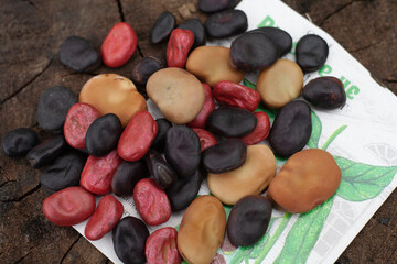 Different varieties of beans prepared for planting. There are some varieties of Russian beans (Vícia fába) with red orange and black color of seed shell on wooden table with seed pack.