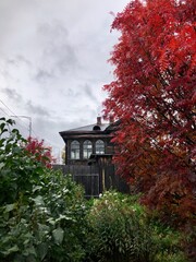 old house in autumn