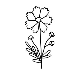 Simple Cosmos flower. Vector illustration in a cute doodle style. Perfect for postcards, social media design, for a packing or a wedding design. Line icon