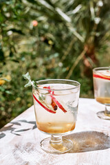 Fresh and healthy cocktail or mocktail with apple, ice, cinnamon and herbs. Refreshing summer drink on nature background