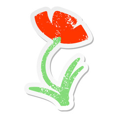 single poppy in flower grunge sticker