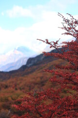 OTOÑO