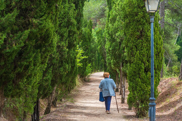 Woman walking leaning on a wooden pole, along a path surrounded by cypress trees. 