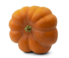 Ripe orange pumpkin on white background. Growing pumpkin. Pumpkin is an autumn food.