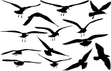 set of fourteen gull black silhouettes