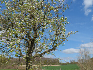 Das Dorf Darfeld in den Baumbergen