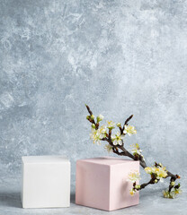 Cosmetic background with geometric shapes. Two cubes and a blossoming branch of a cherry on a gray...