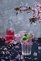 Spring cocktail. Glass of pink rose champagne with ice and mint
