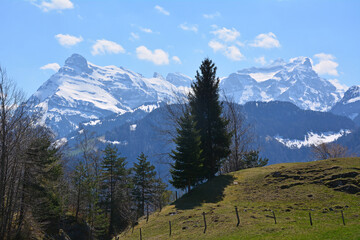 Blick auf den Urirotstock (2929m), Kanton Uri