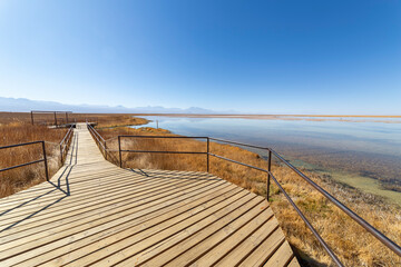 View of the Laguna Lagoon Cejar, Chile © NICOLA