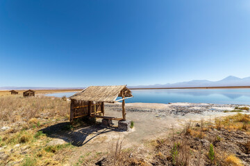 Fototapeta premium View of the Laguna Lagoon Cejar, Chile