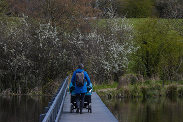 Woman with twin buggy on a jetty in spring.