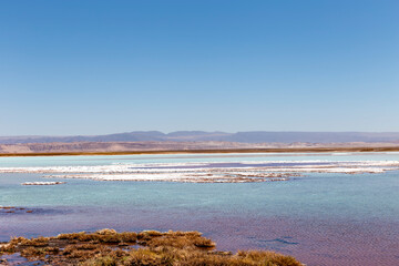 Fototapeta na wymiar Tebinquinche lagoon, Salar de Atacama, Chile