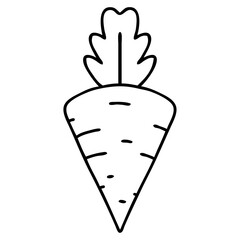 tasty looking carrot