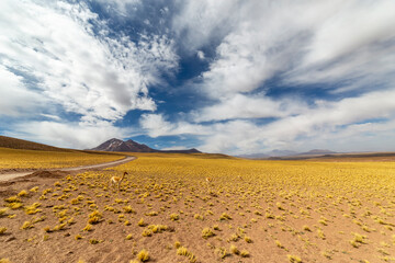 Route 23, a scenic road in the north of Chile