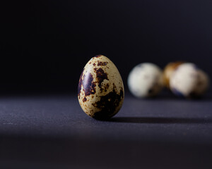 Small quail egg on dark background. Closeup view. Healthy diet concept.