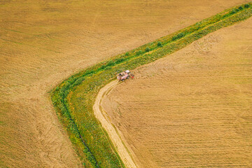 Aerial View Of Rural Landscape. Combine Harvester Working In Field, Collects Seeds. Harvesting Of Wheat In Late Summer. Agricultural Machine Collecting Golden Ripe. Bird's-eye Drone View