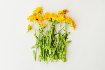 a bunch of orange medicinal marigold flowers with green stems and leaves on a light gray background, top view
