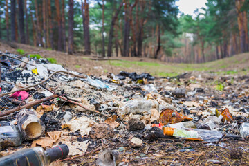 Garbage in a pine forest. Glass bottles of alcohol are scattered in the forest. People illegally thrown garbage into the forest. Concept of man and nature. bottles