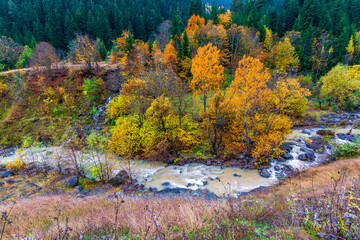 Maden Village with autumn colours in Savsat