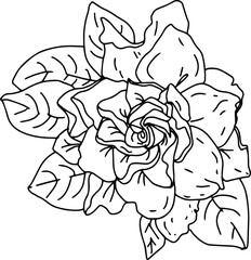 black and white graphics, doodles, rose bud with leaves