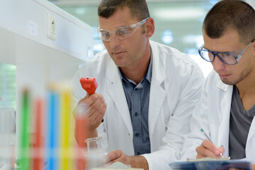 biologists working with plants with tubes