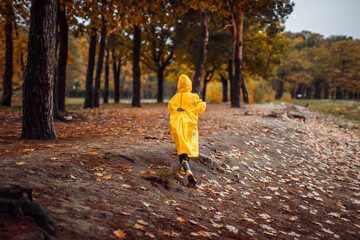 A little boy in a yellow raincoat and rubber boots plays outside in an autumn park in yellow leaves. Back view