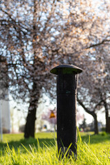 Old chimney on the grass from underground garages in spring sunny day with flowering trees.