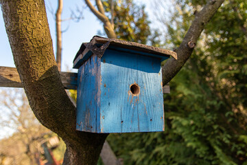 Bird house hanging on trees and waiting for their residents in the beginning of spring in Jastrzebie-Zdroj, Poland
