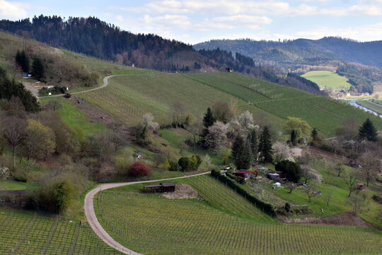 Gr&uuml;ne Berge in Gegenbach im Schwarzwald