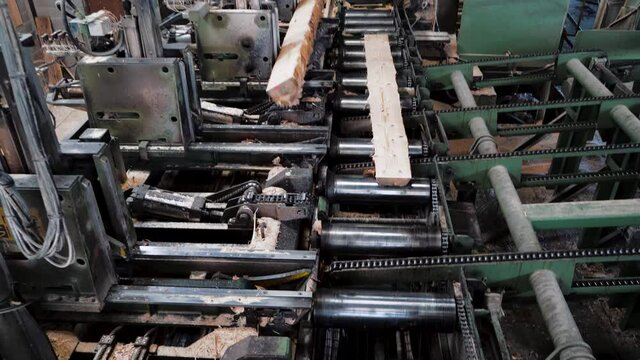Machine scierie découpeuse de bois de foret géante
