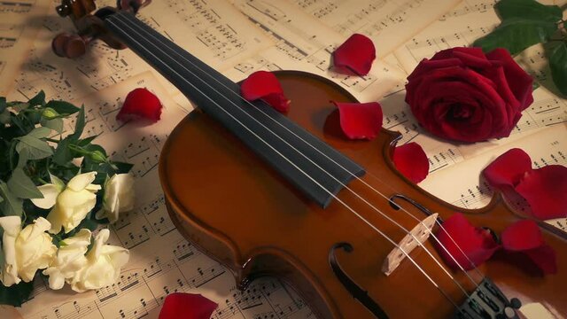 Violin With Rose Petals Scattered Music Passion Concept
