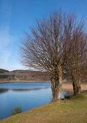 Dhunn water reservoir, Bergisches Land, Germany