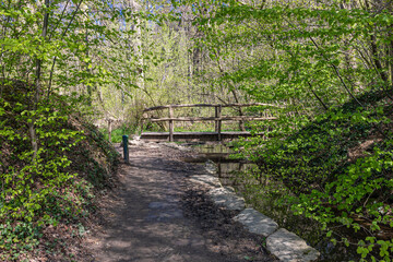 Fototapeta na wymiar Adventurous natural hiking path in the forest alongside a stream with a crossing in South Limburg near Elsloo