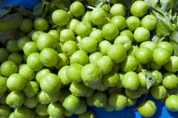 Plum fruit, green, healthy food, sour stock photos, greengrocer, fruiterer