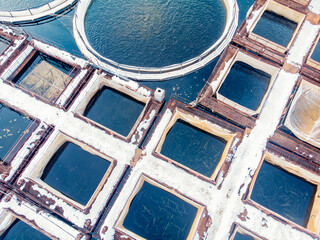 Farm fish salmon and sturgeon aquaculture blue water floating cages. Aerial top view