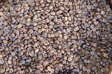 Raw coffee, coffee bean, delicious, caffeine, uncooked stock photo