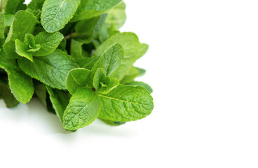 Bunch of fresh green mint on a white background. Space for text.