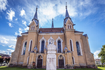 Bust of Dr Ioan Mihaly de Apsa in front of Reformed church in Sighetu Marmatiei town, Romania