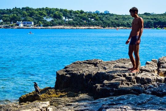 Silhouette of a young guy on a rocky Ambrela beach near the wild cormorant bird