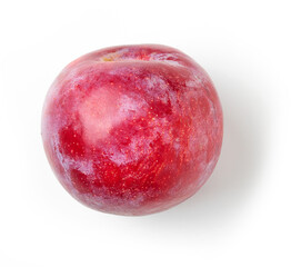 Obraz premium fresh ripe red plum